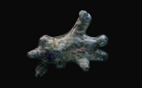  Ever Wondered About An Enigmatic Amoeboid Exploring the Depths? This single-celled organism thrives within decaying organic matter and embodies a fascinating example of amoeboid movement!